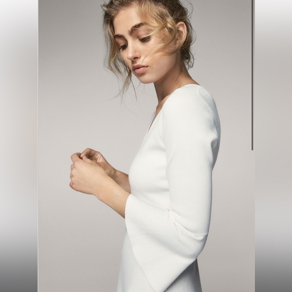 Massimo Dutti Dress - Picture 4 of 4